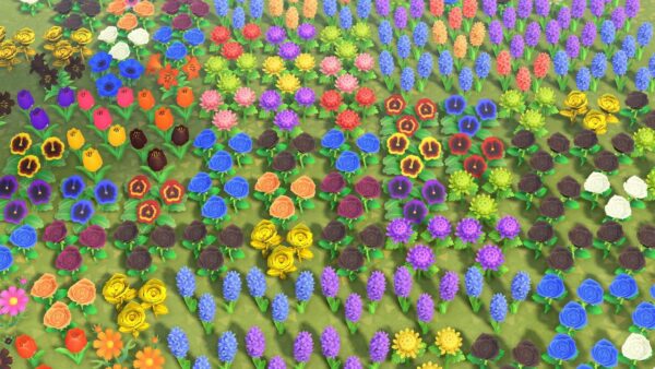 Pick and Mix 40 Hybrid Flowers - any type and colors bundle - elymbmx