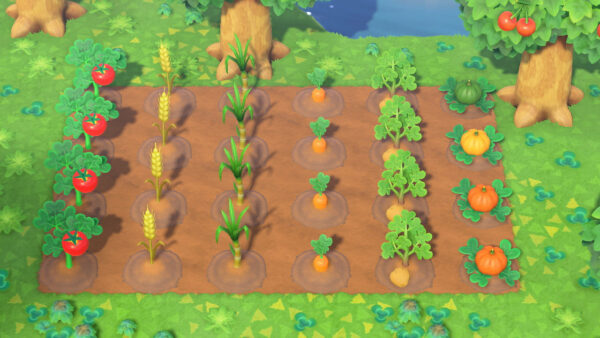 All Plants, Vegetables, Pumpkins, and Fruits Trees Bundle Set - Image 3